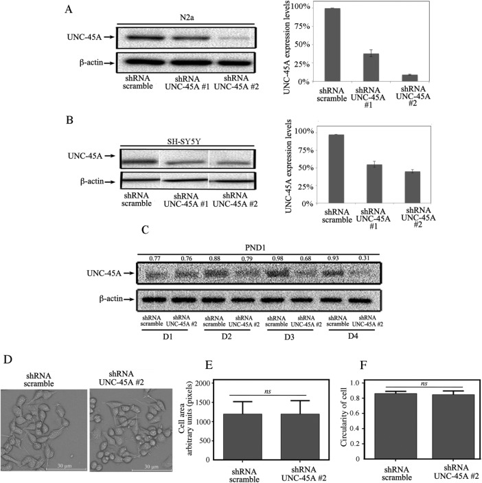 FIGURE 2: