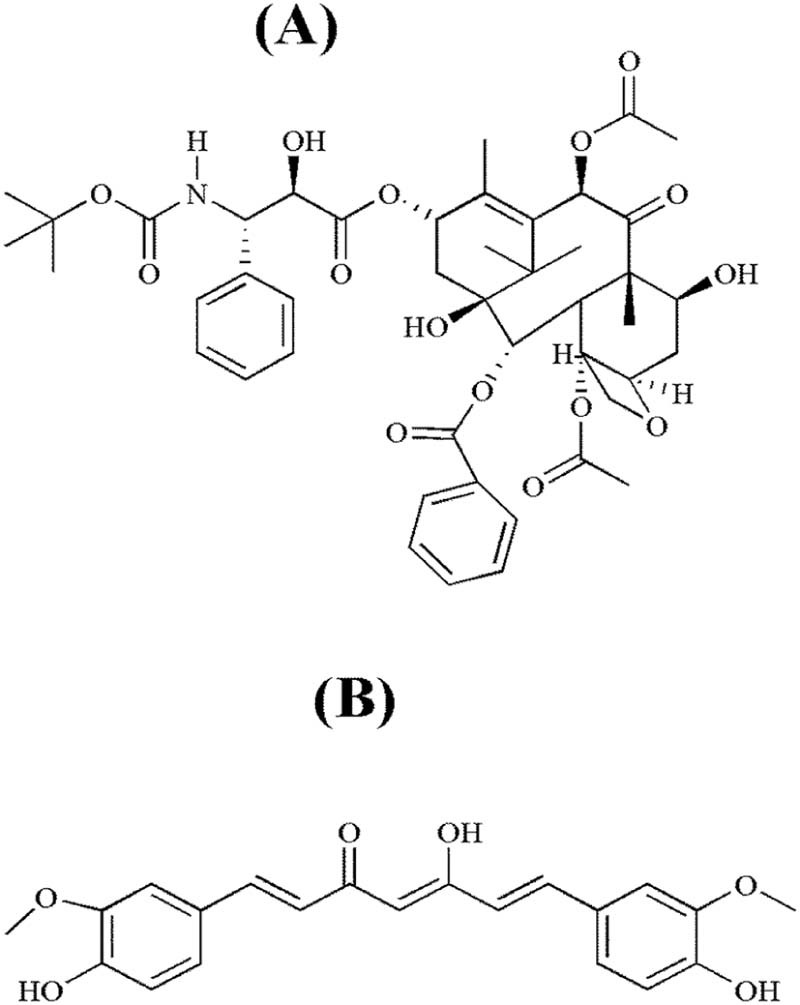 Fig. 1