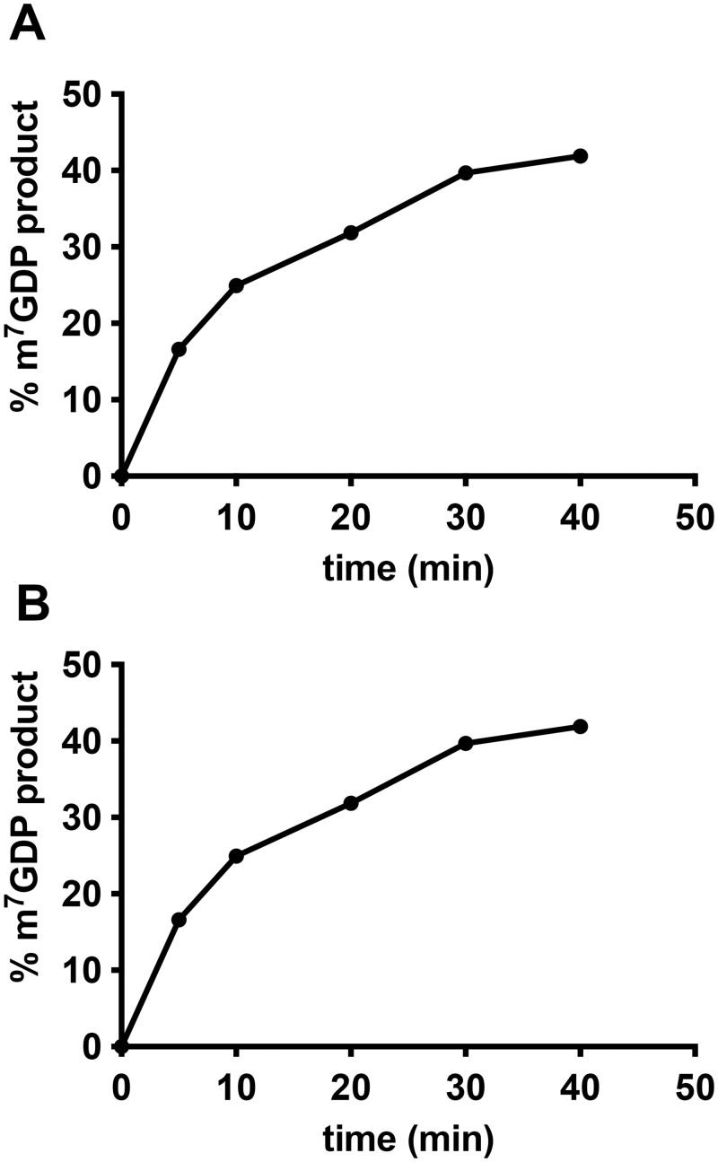 Fig 5