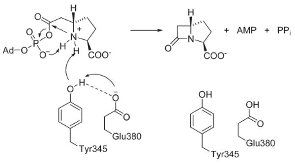 Scheme 3