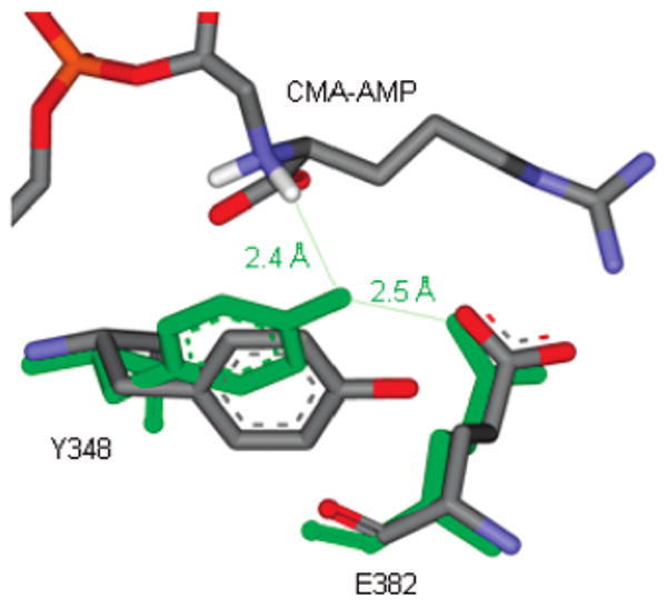 Figure 7