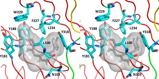 Figure 7.