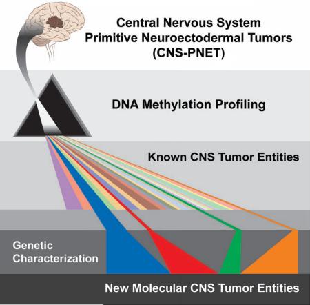 graphic file with name nihms-805491-f0001.jpg