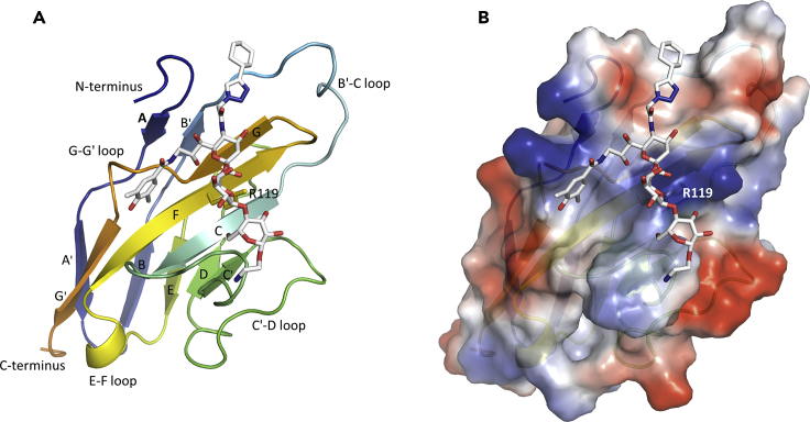 Figure 1