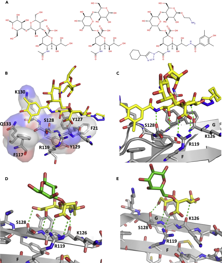 Figure 2