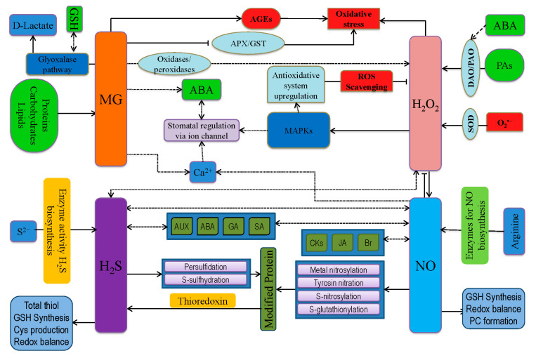 Figure 6