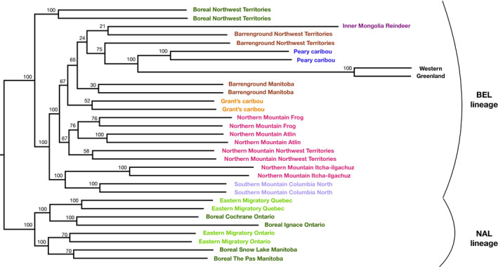 FIGURE 3