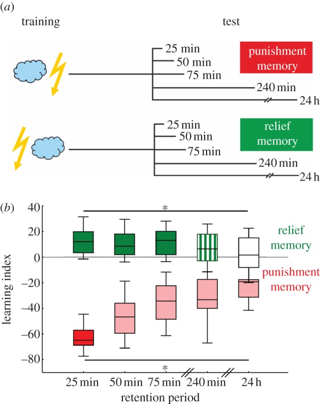 Figure 1.