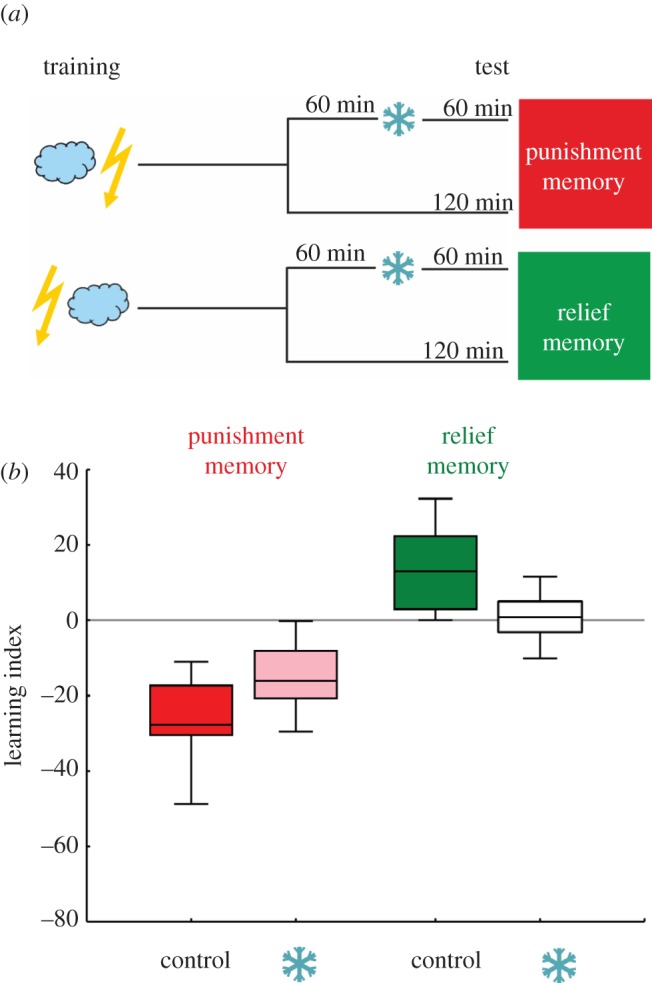 Figure 2.