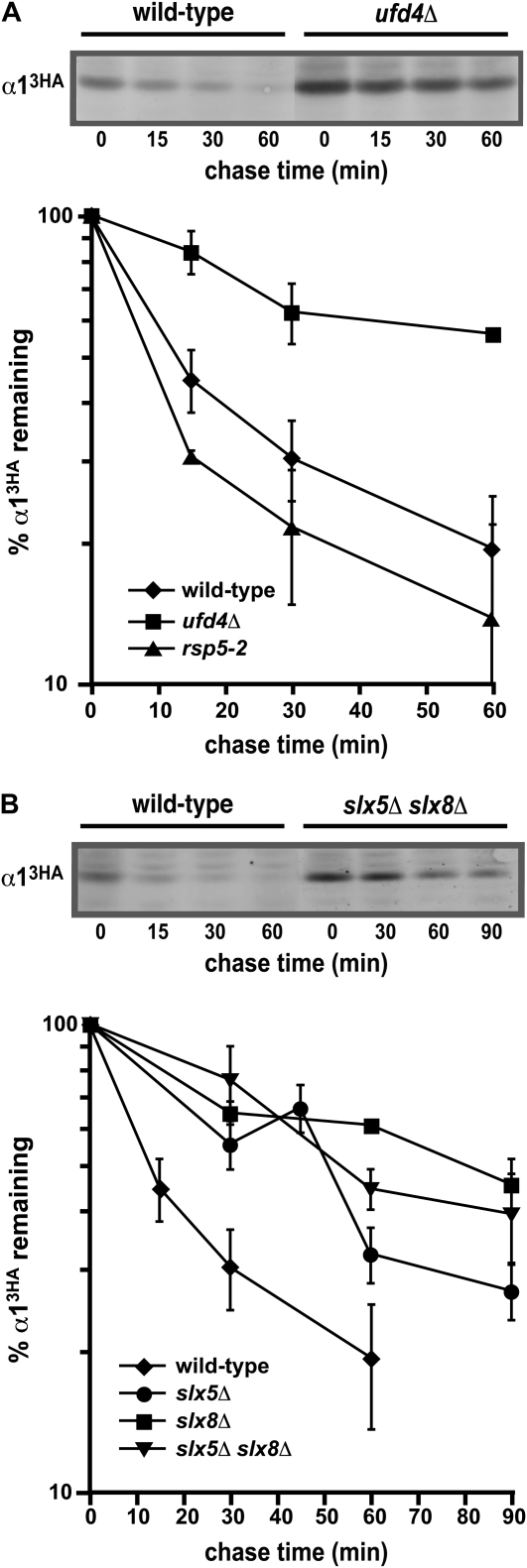 Figure 4.—