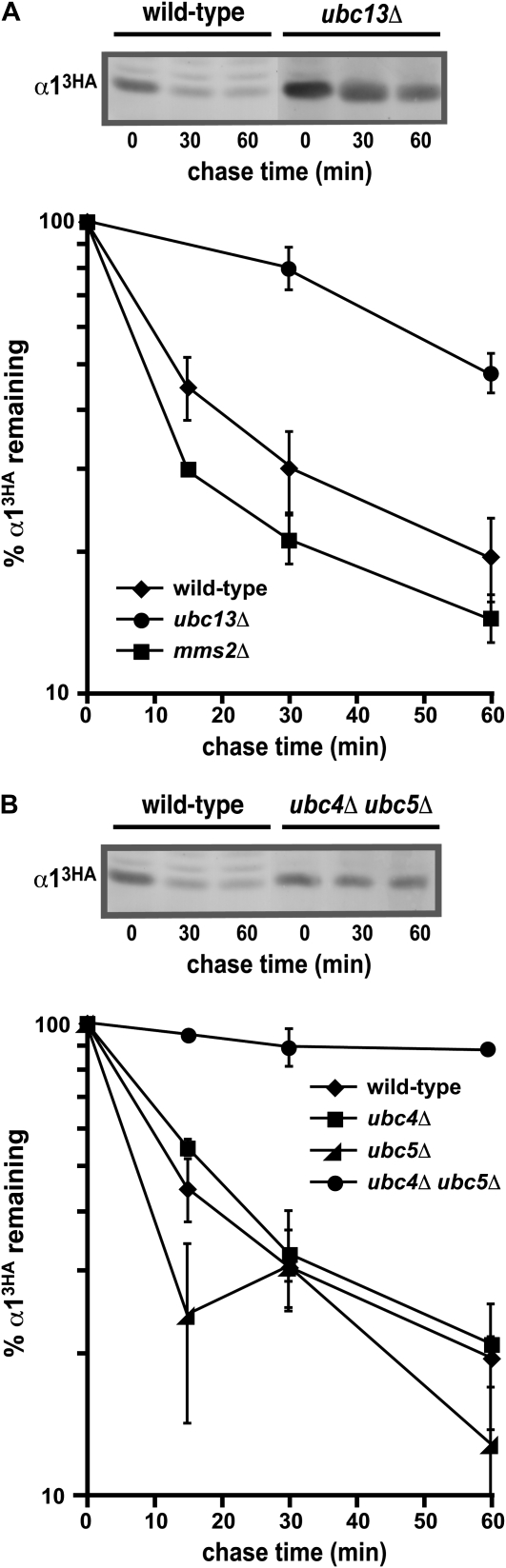 Figure 2.—