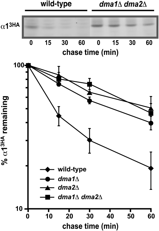 Figure 3.—