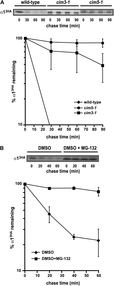 Figure 1.—