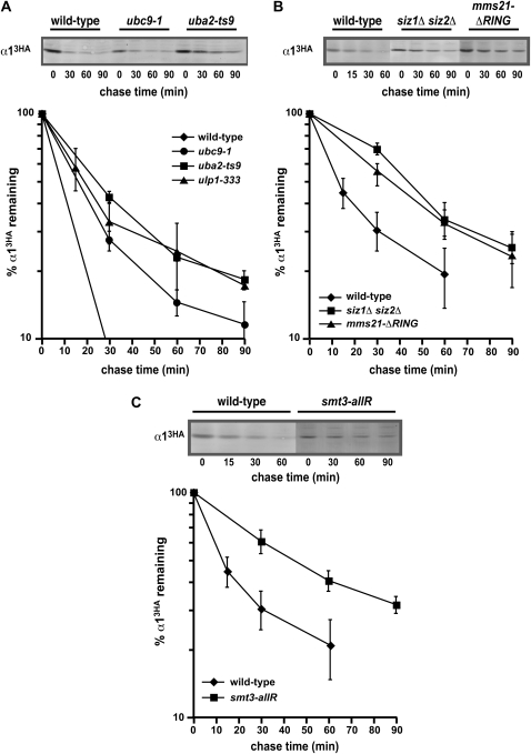 Figure 7.—