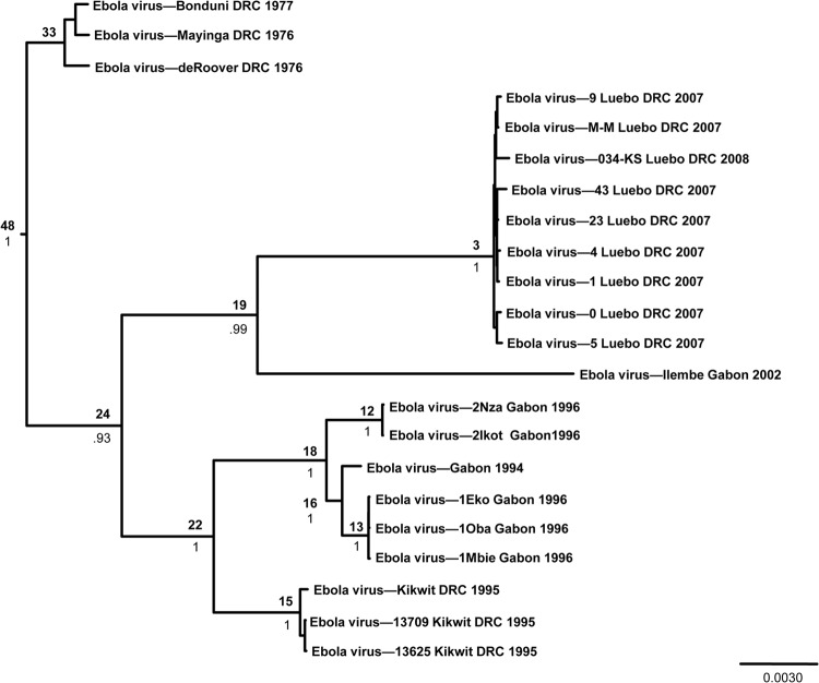 Fig 1