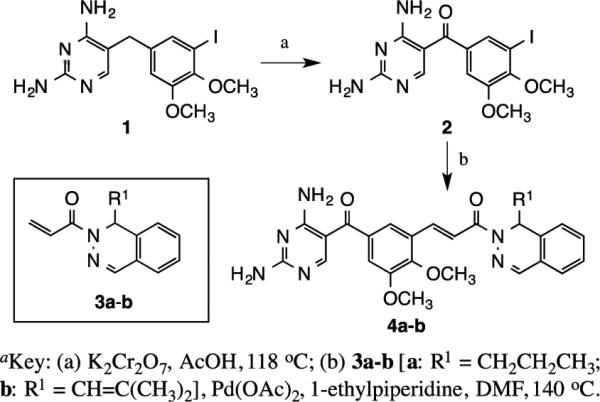 Scheme 1