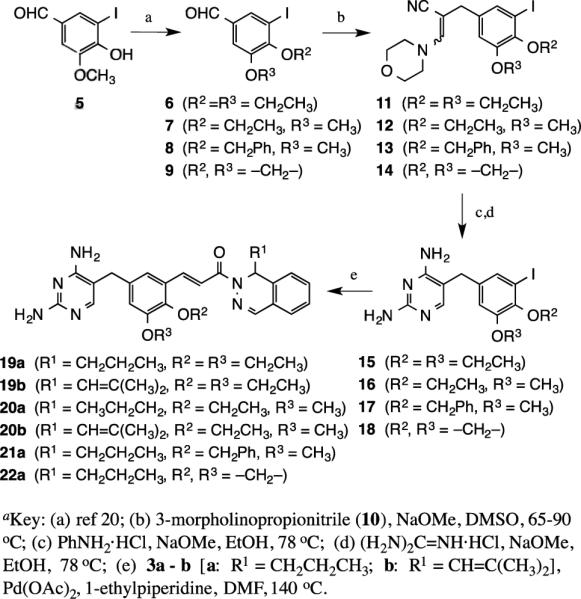 Scheme 2