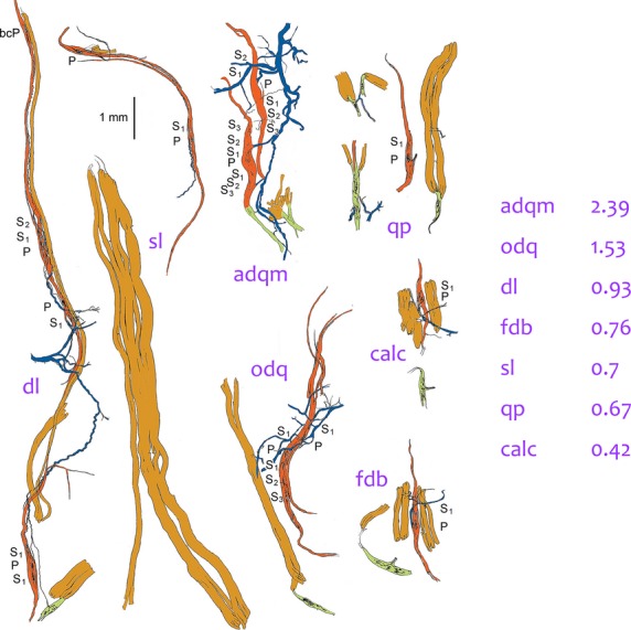 Fig 5