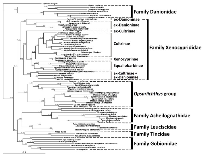 Fig. 3.