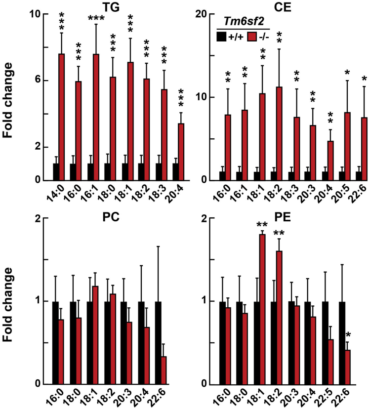 Figure 4