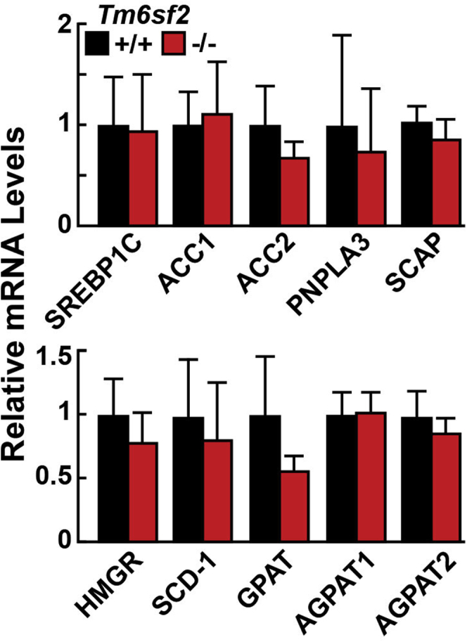 Figure 6