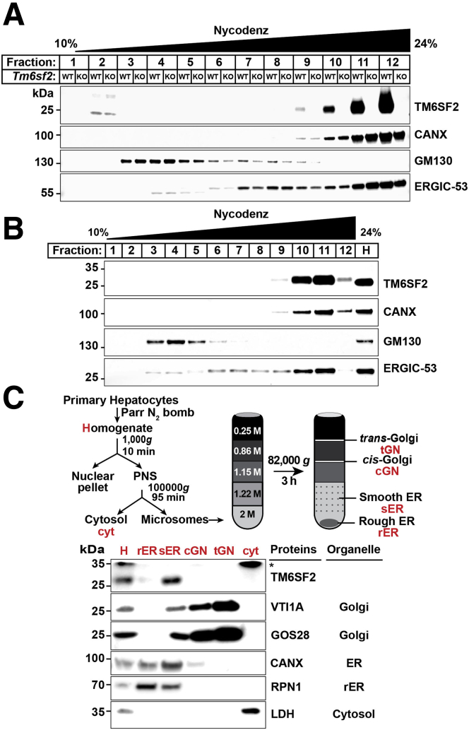 Figure 9