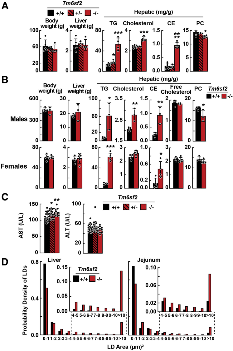 Figure 3