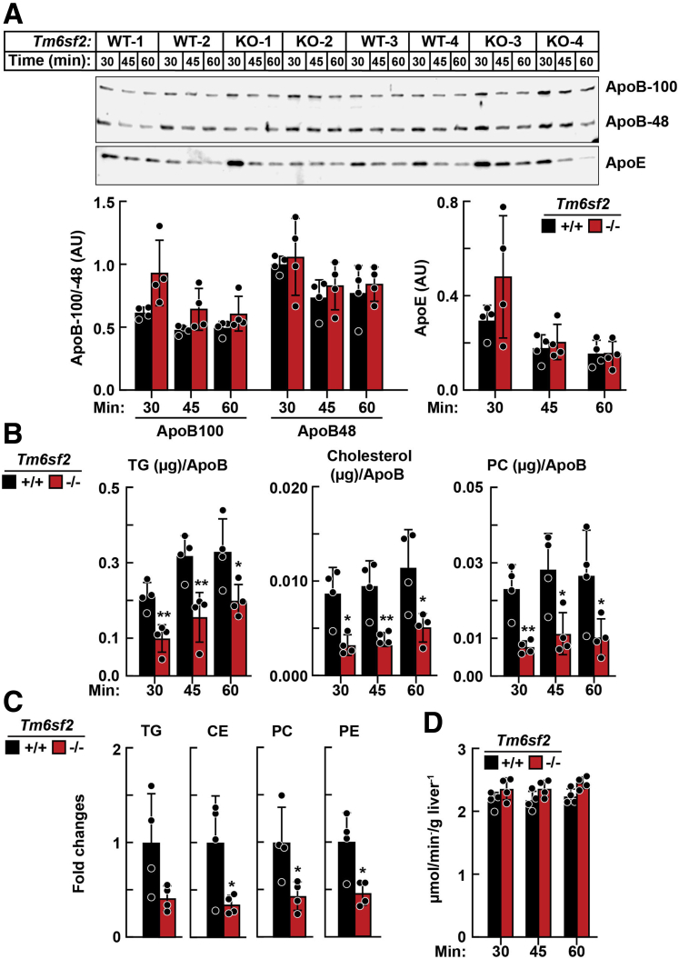 Figure 10