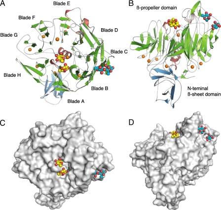 FIGURE 2.