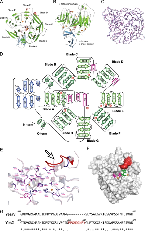 FIGURE 4.