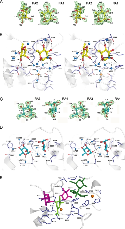 FIGURE 3.