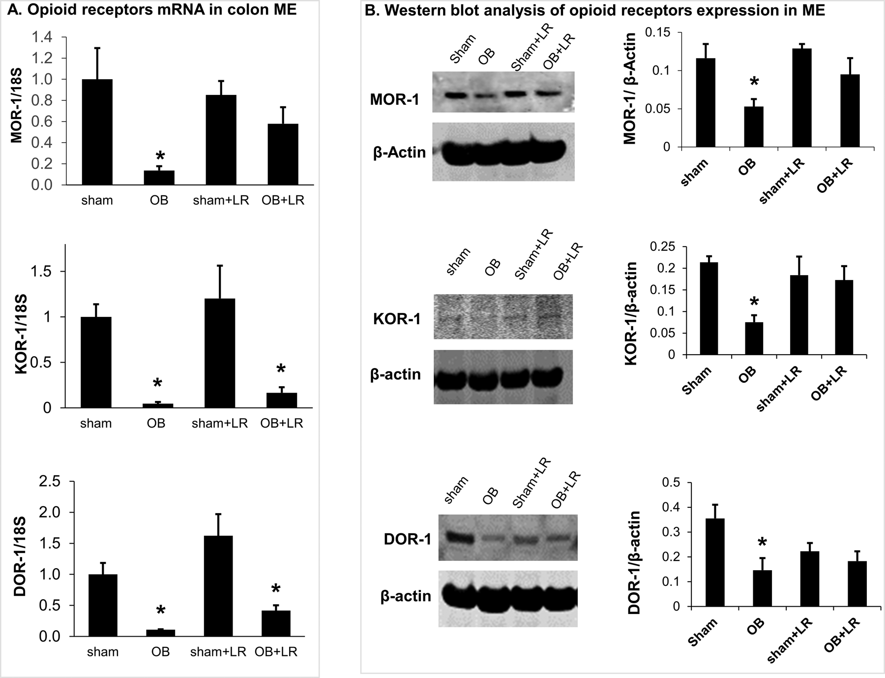 Figure 6: