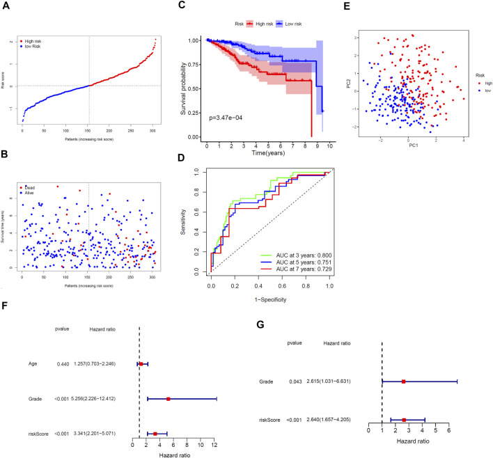 FIGURE 3