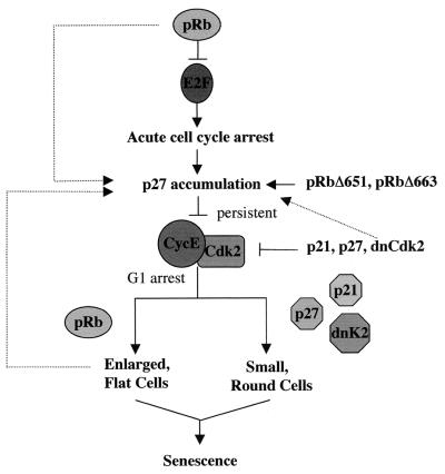 FIG. 8