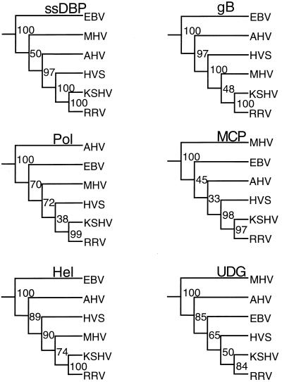 FIG. 5