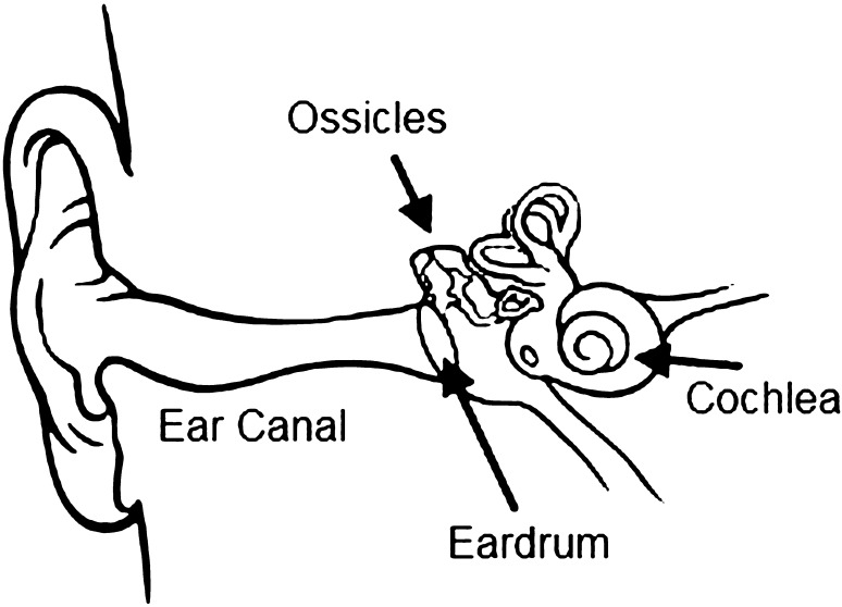 Fig. 1