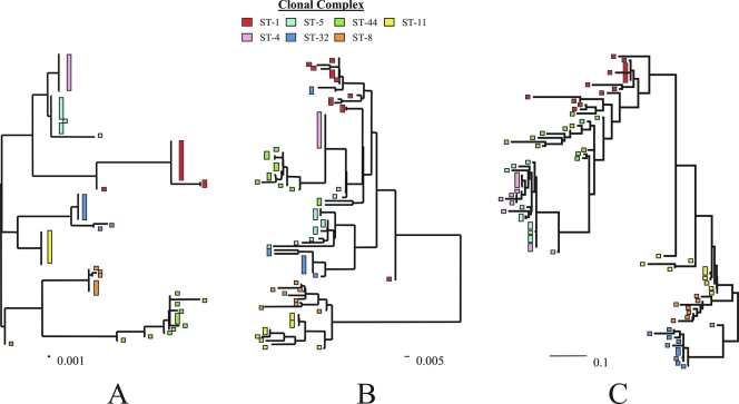 FIG. 2.