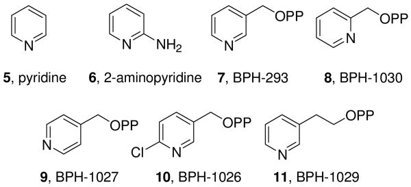 Scheme 2