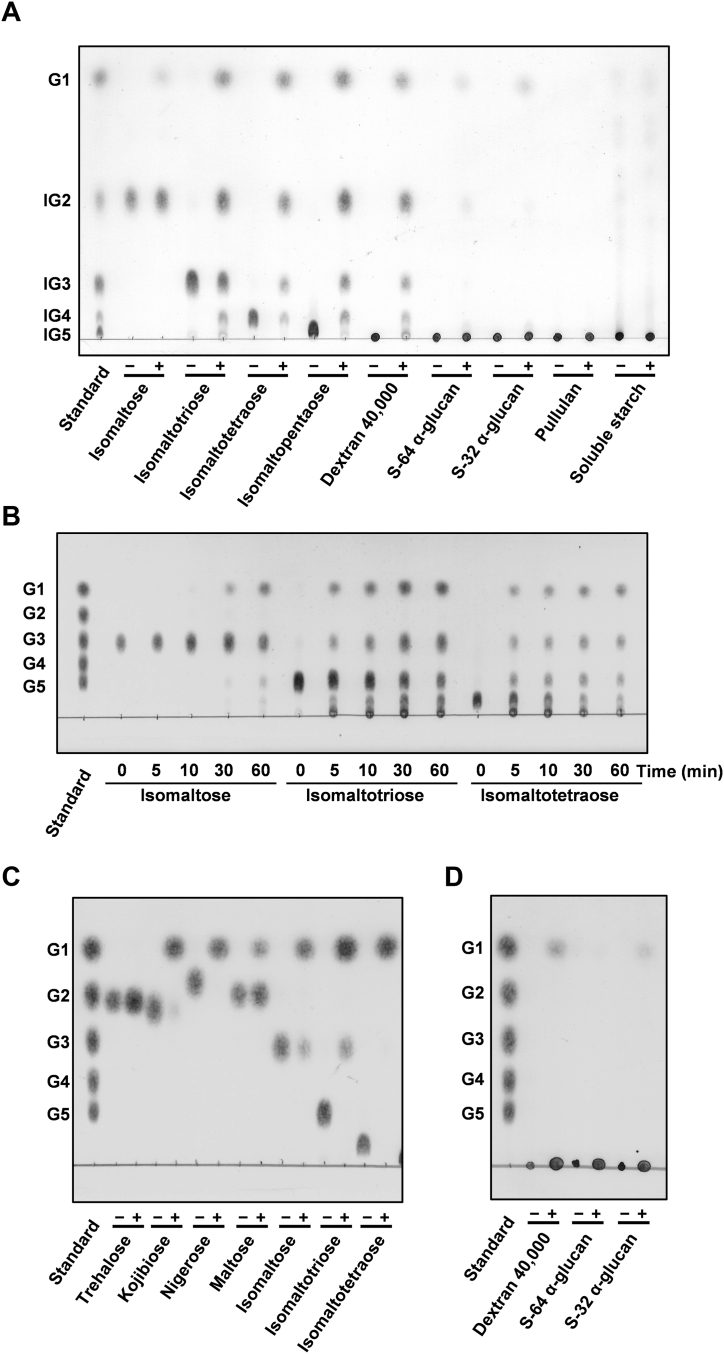 Figure 3