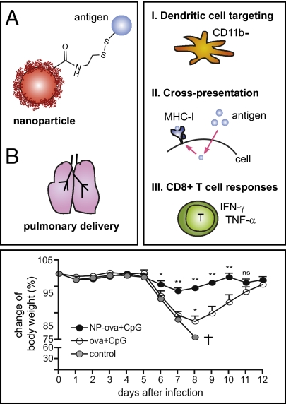 Fig. P1.