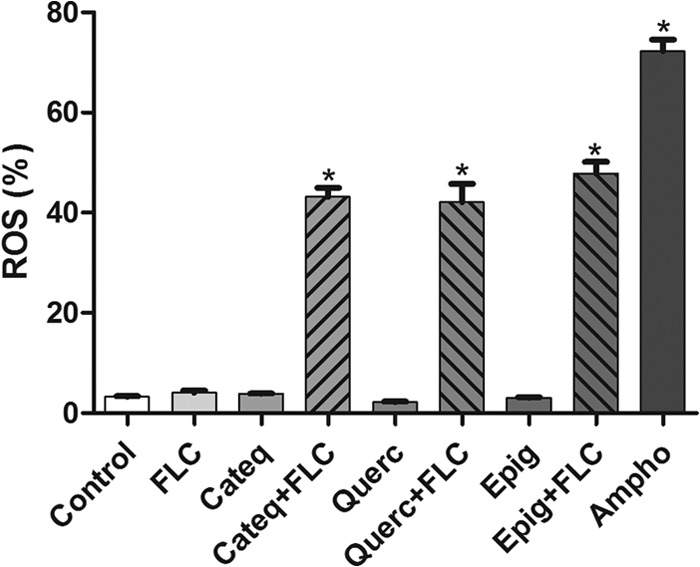 FIG 5