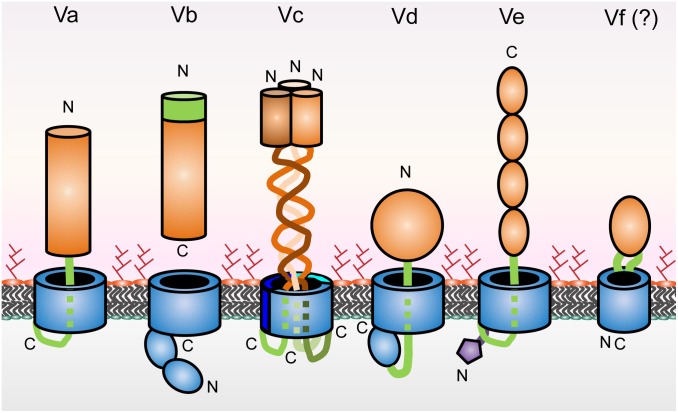 FIGURE 1