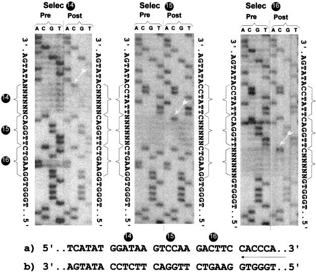 FIG. 8