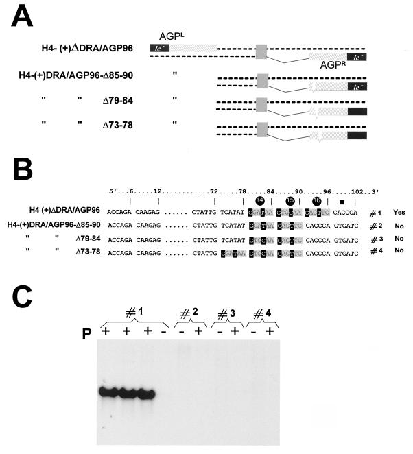 FIG. 6