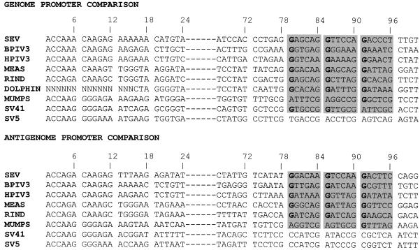 FIG. 9