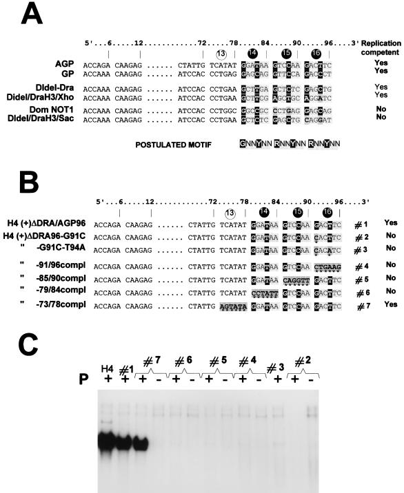 FIG. 5