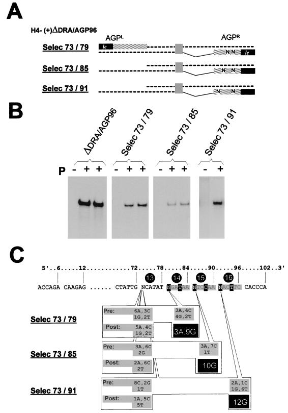 FIG. 7