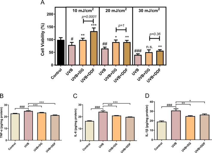 FIGURE 3