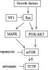 FIGURE 9.