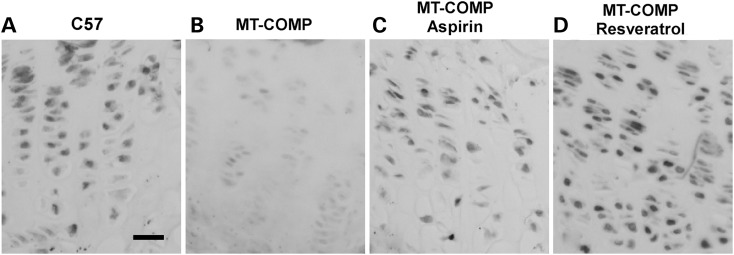 Figure 3.